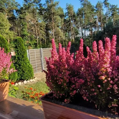 Dom Na Skarpie - Ucieczka Na Wies - Samodzielne Wejscie Na Szyfr, 100m2 * Drazek