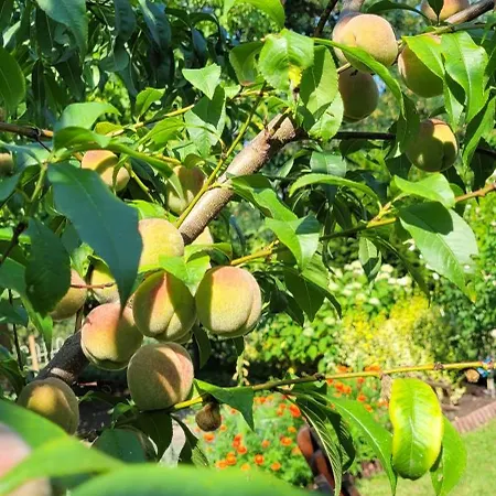 Semesterbostad Dom Na Skarpie - Ucieczka Na Wies - Samodzielne Wejscie Na Szyfr, 100m2 *