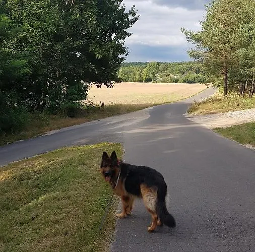 بيت للعطل Dom Na Skarpie - Ucieczka Na Wies - Samodzielne Wejscie Na Szyfr, 100m2 *