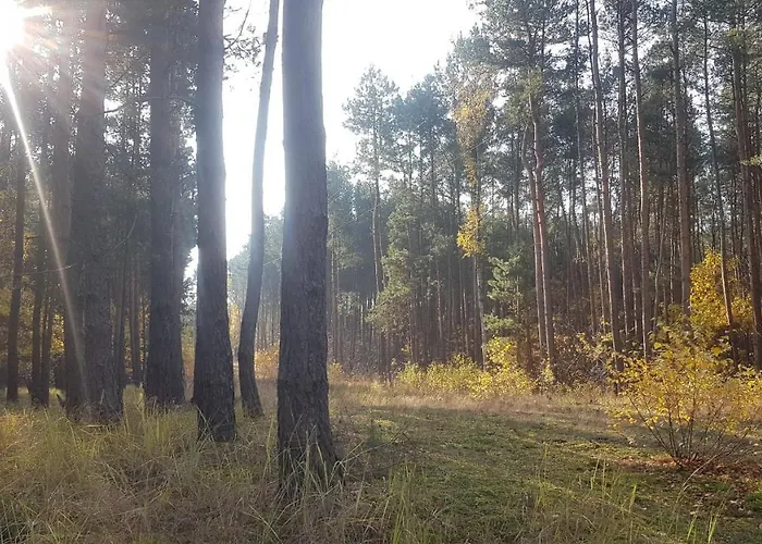 Dom Na Skarpie - Ucieczka Na Wies - Samodzielne Wejscie Na Szyfr, 100m2 Semesterbostad