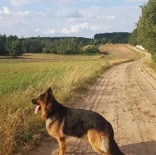 Semesterbostad Dom Na Skarpie - Ucieczka Na Wies - Samodzielne Wejscie Na Szyfr, 100m2 Drazek