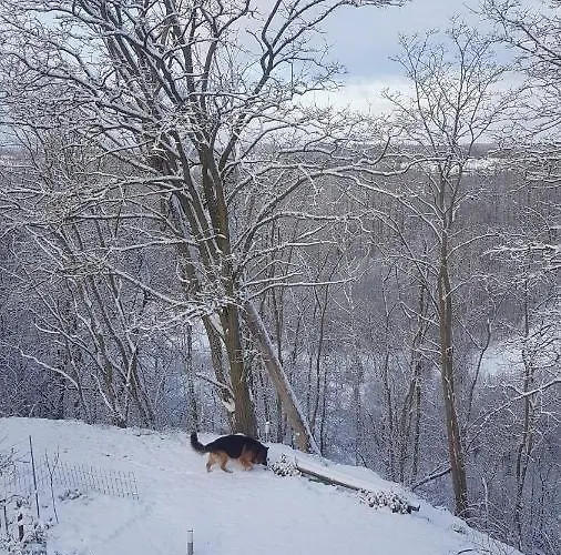 بيت للعطل Dom Na Skarpie - Ucieczka Na Wies - Samodzielne Wejscie Na Szyfr, 100m2