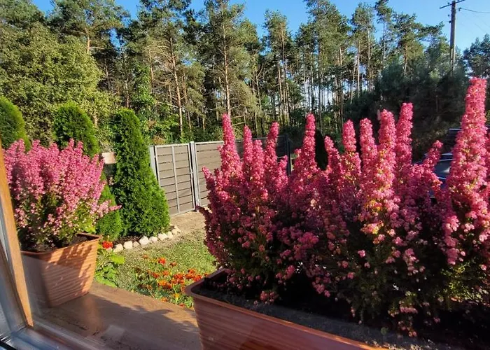 Dom Na Skarpie - Ucieczka Na Wies - Samodzielne Wejscie Na Szyfr, 100m2 * Drazek