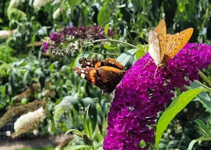 بيت للعطل Dom Na Skarpie - Ucieczka Na Wies - Samodzielne Wejscie Na Szyfr, 100m2 Drazek